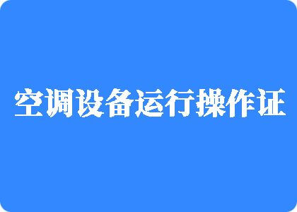 澳门大鸡巴操花逼视频制冷工证